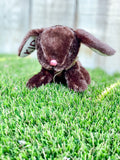 Personalized Mini Stuffed Easter Bunny