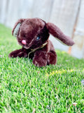 Personalized Mini Stuffed Easter Bunny