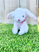 Personalized Mini Stuffed Easter Bunny