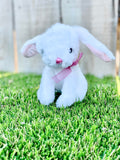 Personalized Mini Stuffed Easter Bunny
